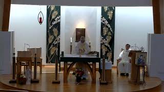 Weekday Mass - English - July 11, 2024