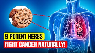 9 Potent Cancer Fighting HERBS