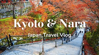 Trip to Kyoto & Nara | First Time in Japan 🇯🇵 | Travel Vlog