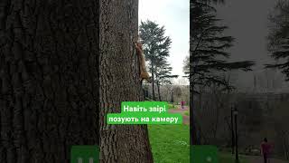 лови момент #live #отдых #love #animals #squirrel #world