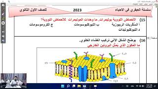 أسئلة امتحان أولى ثانوي نظام حديث 2023