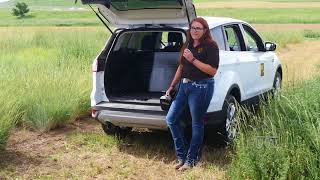 Native Species for Seed Production | 2018 Sheridan Field Day