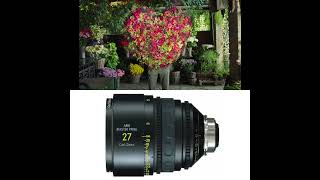 'Fleurop’ - 🔎 ARRI Master Prime 27mm T1.3 - 📹 ARRI Arricam LT