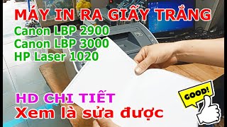 Sửa Canon 2900, HP 1020 in ra giấy trắng | Hướng dẫn chi tiết từ A tới Z