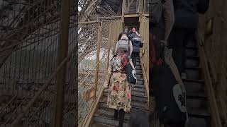 Take the Eiffel Tower Stairs to the Top