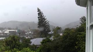 Nelson, New Zealand, 17 April 2014, Collingwood Street tree falls