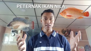 BUDIDAYA IKAN NILA