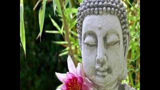 20 minutes Buddha's meditation relaxing flute music!!🧘🌷🎋#meditation #music #buddha #viral