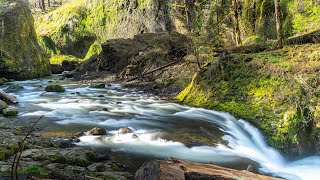 Eagle Creek Trail - The Best Oregon Hike? | Chris Goes Solo Hiking