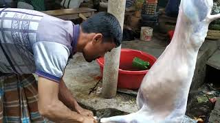 goat meat cutting skills,bakra eid mubarak,bakra cutting blouse,khassi bakra,dumba goat farm,