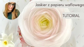 Jaskier z papieru waflowego - tutorial