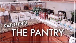 PAINTED THE PANTRY WHITE | QUARANTINE VLOGS |