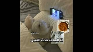 ف انت زيي؟ 👽 #فلسطين #اكسبلور #cat #shortvideo #youtubeshorts #short #shorts #trending #funny #love