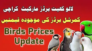 all birds prices | love bird prices | lalukhet birds market update