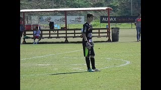 Rogerio Bresciani Junior 2004 - Goleiro (2018)