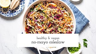 Vegan and Healthy No Mayo Coleslaw Recipe