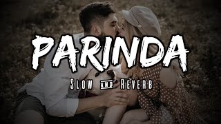 Parinda | Slow & Reverb | Panther | Priyanka Meher | Lofi Ki Duniya