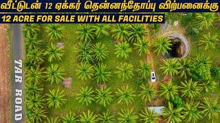 12 ACRE COCONUT FARM FOR SALE | வீட்டுடன் 12 ஏக்கர் தென்னந்தோப்பு விற்பனைக்கு #realestate #best