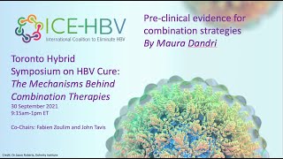 ICE-HBV Cure Symposium 2021 - Pre-clinical evidence for combination strategies