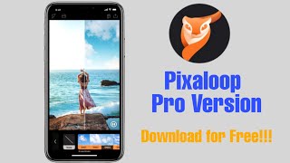 Pixaloop App Pro Version | Free Pro Version | Free Paid Version |