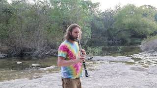 Stringsin the Woods with Ryan Murphy and Will Taylor Austin Texas