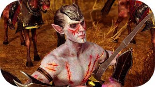 Total War: Warhammer II 👻 Battle Royal 🌛 Heinrich Kemmler faces Crone Hellebron