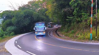 artis bus telolet yng paling banyak strobonya