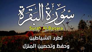 سورة البقرة كاملة لطرد الشياطين وحفظ وتحصين المنزل بصوت هادئ جدا جدا القارئ ماجد الدعوس