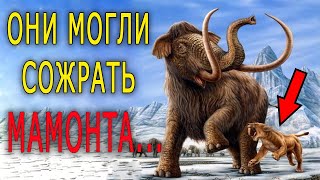 Кто мог сожрать мамонта?