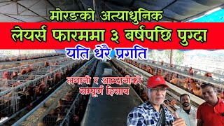 यसरी लेयर पाल्दा उत्पादन राम्रो हुन्छ/ Chinese cage for layers || poultry farm - invest and profit