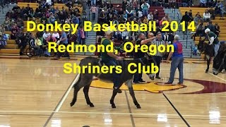 Donkey Basketball Redmond Oregon 2014