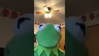 Kermit the Frog Jumps