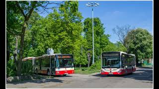 Mercedes Citaro K #2491 GAIT Gdańsk