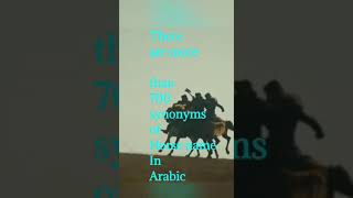 Arabic Language and it's unique facts shots, trending on everywhere