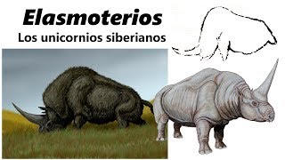 Elasmoterios. Descubre a los unicornios de Siberia