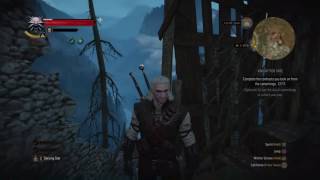 The Witcher 3: Wild Hunt - Sword Money Glitch