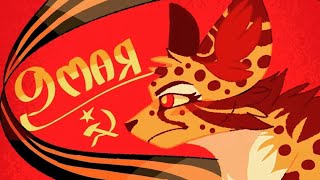 Коты-воители/Клип/"Катюша"/С ПРАЗДНИКОМ ПОБЕДЫ!!!!