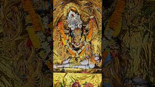 Jai Maa Kali #kalipuja2024  #song #status #video