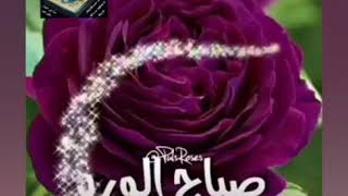 💐💝أسعد الله صباحكم بكل خير رسائل واتس💝💐