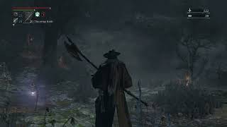 Bloodborne 8