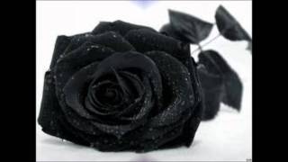 MY GUN IS MY BLACK ROSE