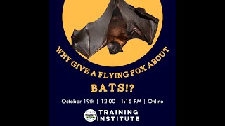 Why Give A Flying Fox About Bats?