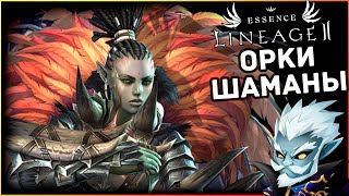 Lineage 2 Essence | Орки Шаманы