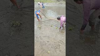 Amazing fishing video #fishng #fishspecies #fishinglife #fishingtips #fishl #video#comedy #bhojpuri