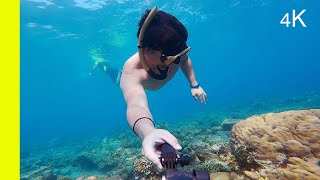 FREE DIVE Taman Laut Bunaken 4K