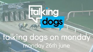 Talking Dogs on Monday 26th June 2023