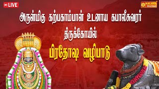 அருள்மிகு கற்பகாம்பாள் உடனாய கபாலீசுவரர் திருக்கோயில் பிரதோஷ வழிபாடு  |  @aalayatv