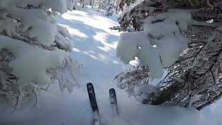 DANK skiing ep. 23 - STILL SOME POWDER LEFT - 2 WIPEOUTS - PLUS AN EPIC STORY - 60fps - feb 23 2022