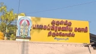 சிறுவாபுரி முருகன் வரலாறு/siruvapuri murugan history #murugan#muruganstory #muruganmanthiram