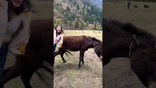 Girl is definitely not the culprit #animallover #pets #donkey #funny  #youtubeshorts